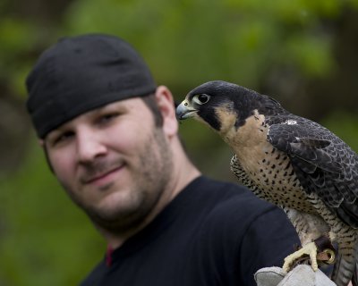 Danny and Peregrine - Raptors Inc a.jpg