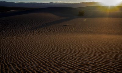 Death Valley - Mesquite Dunes IMGP0767.jpg
