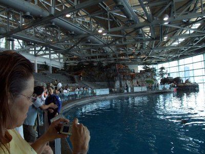  Shedd Aquarium