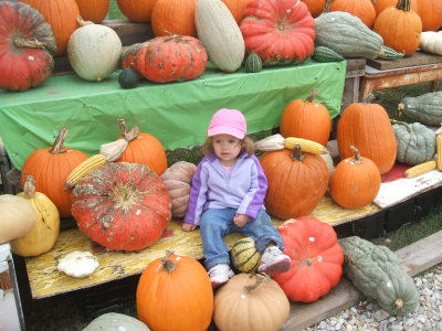  Katie in the pumpkin patch