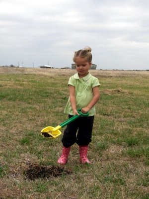 Helping to plant trees