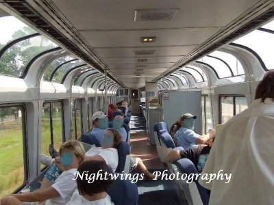  City of New Orleans sightseer lounge