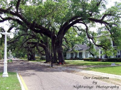 St Mary Parish - Franklin - LA highway182