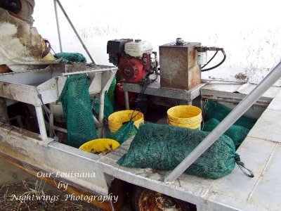 Lafayette Parish - Maurice - Crawfish boat