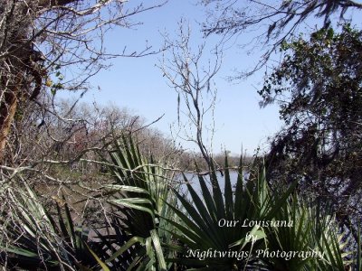 Vermilion Parish - Perry -  Agnes Plantation    