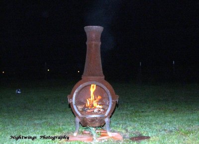 Our first fire  !!!