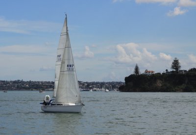 Sailing in the Waitemata Harbour