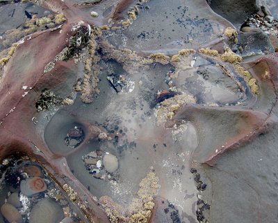Coloured Liquid - Rocky pool