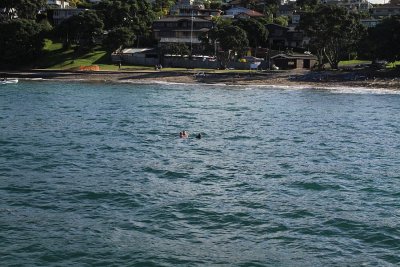 See how far they had to swim ashore