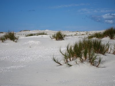 Mangawhai Heads sand dunes
