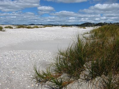 Mangawhai Heads sand dunes