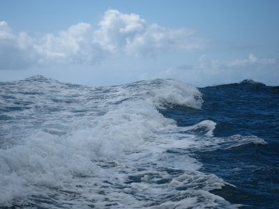 Heading back into the harbour - looking at the waves behind us!!!