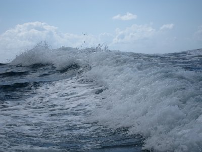 Big waves at Mangawhai Heads