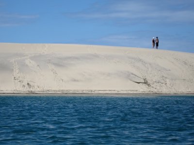 Sand Dunes at Mangawhai Harbour