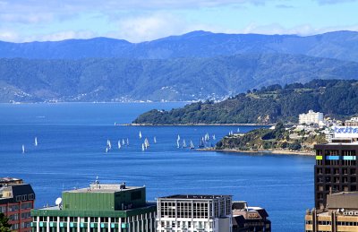 Wellington Harbour on a sunny day