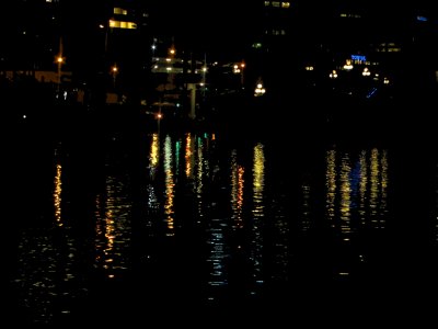 Waterfront Reflections