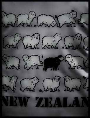 Sheep on Shirt