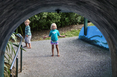 They love the tunnel that goes under the road