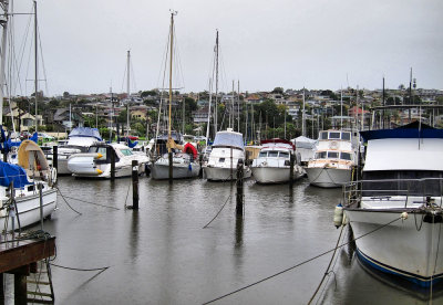Milford Marina on a wet day.