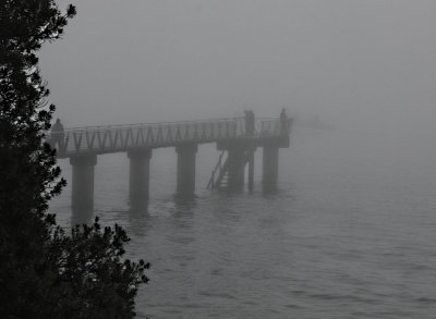 Surprise, surprise - It's a Foggy Day