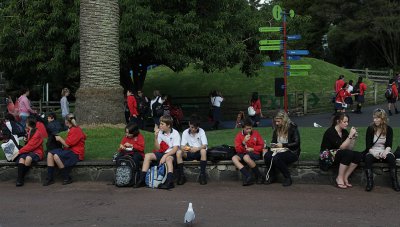 Auckland Zoo