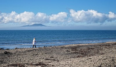 Fog affects 50 flights in Auckland