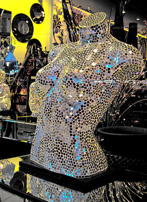 Mirrored Torso
