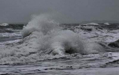 Stormy Day