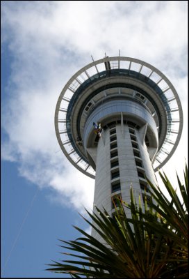 Jumping from the Sky Tower - 2010