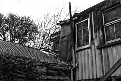 Abandoned House in Ponsonby #16