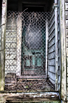 Abandoned Ponsonby Villa - July 2011