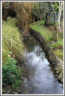 Stream Reflections