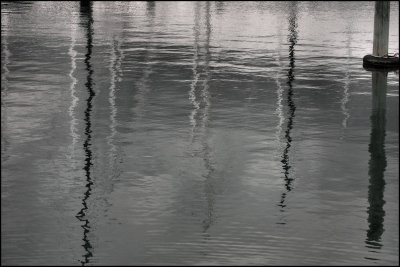 Rippled Reflections - #15