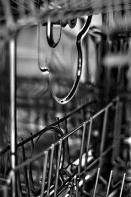 Reflections in a Dishwasher - #21