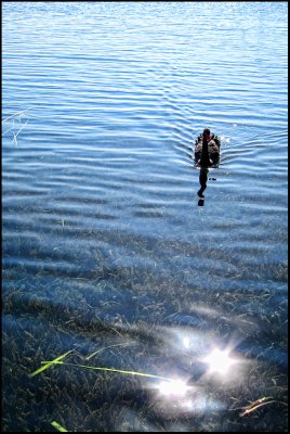 Lake Pupuke Reflections - #25