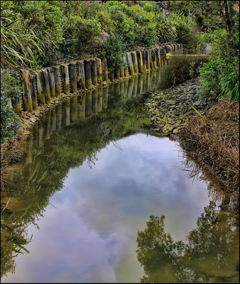 Reflections in a dirty creek - #30