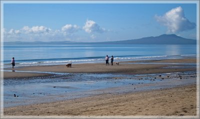 Meeting of the friends - human and canine