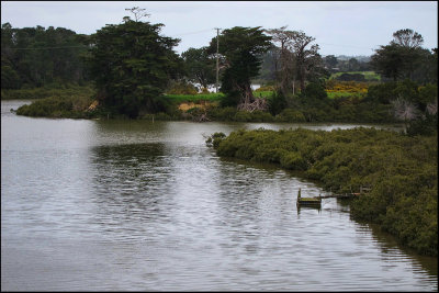 Riverhead - the top of the Waitemata Harbour