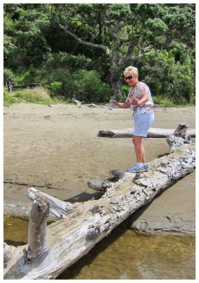 Long Bay