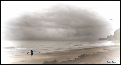 Wet, misty Morning. . .