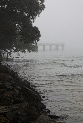 Murrays Bay 2011