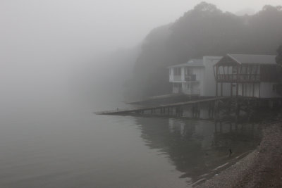 Misty day at Cox's Creek Bay