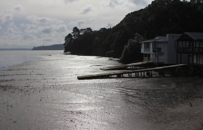 Cox's Creek Bay