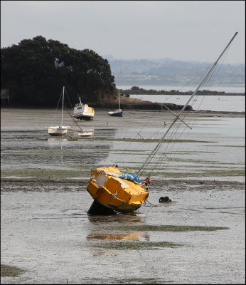 Tide out at Cox's Creek Bay