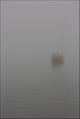 Foggy day at Cox's Creek Bay