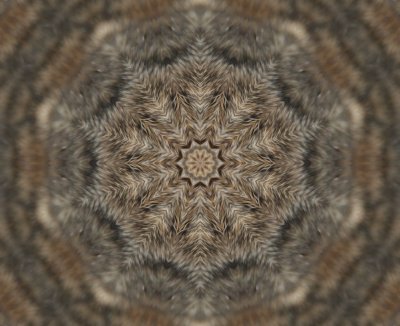 Kaleidoscope