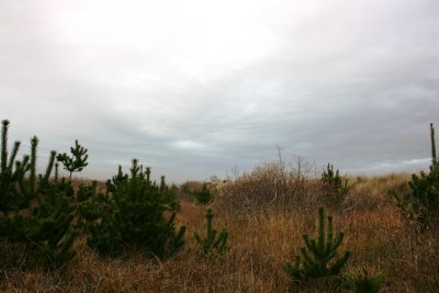November 2007 030.jpg