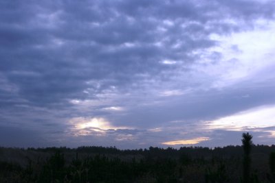 November 2007 036.jpg