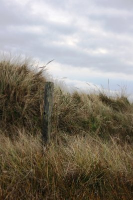 November 2007 167.jpg