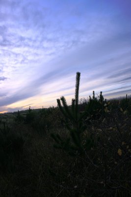 November 2007 183.jpg